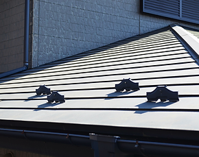 Protect Your Property with Metal Roof Snow Guards